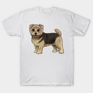 Dog - Norfolk Terrier - Black and Tan T-Shirt